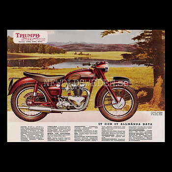 TRIUMPH SPEED TWIN 5T 500 cc & 6T 650 cc - Vykort A5