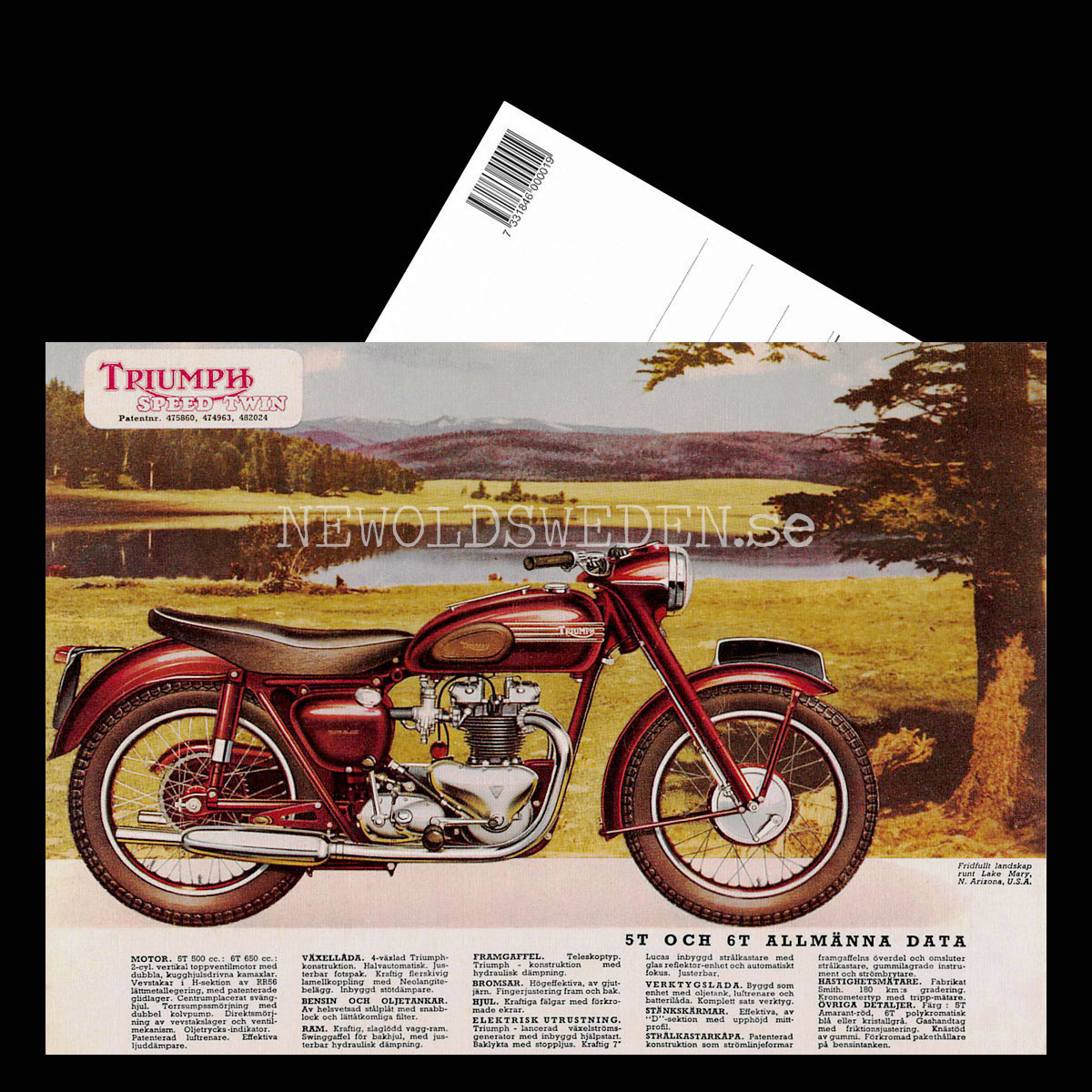 TRIUMPH SPEED TWIN 5T 500 cc & 6T 650 cc - Vykort A5 - 3