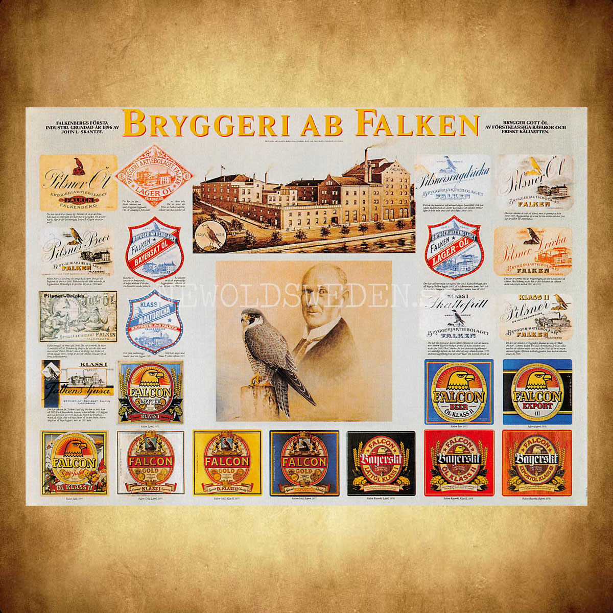 FALKEN BRYGGERI AB FALKEN 1896 FALKENBERG - Vykort A5 - 2