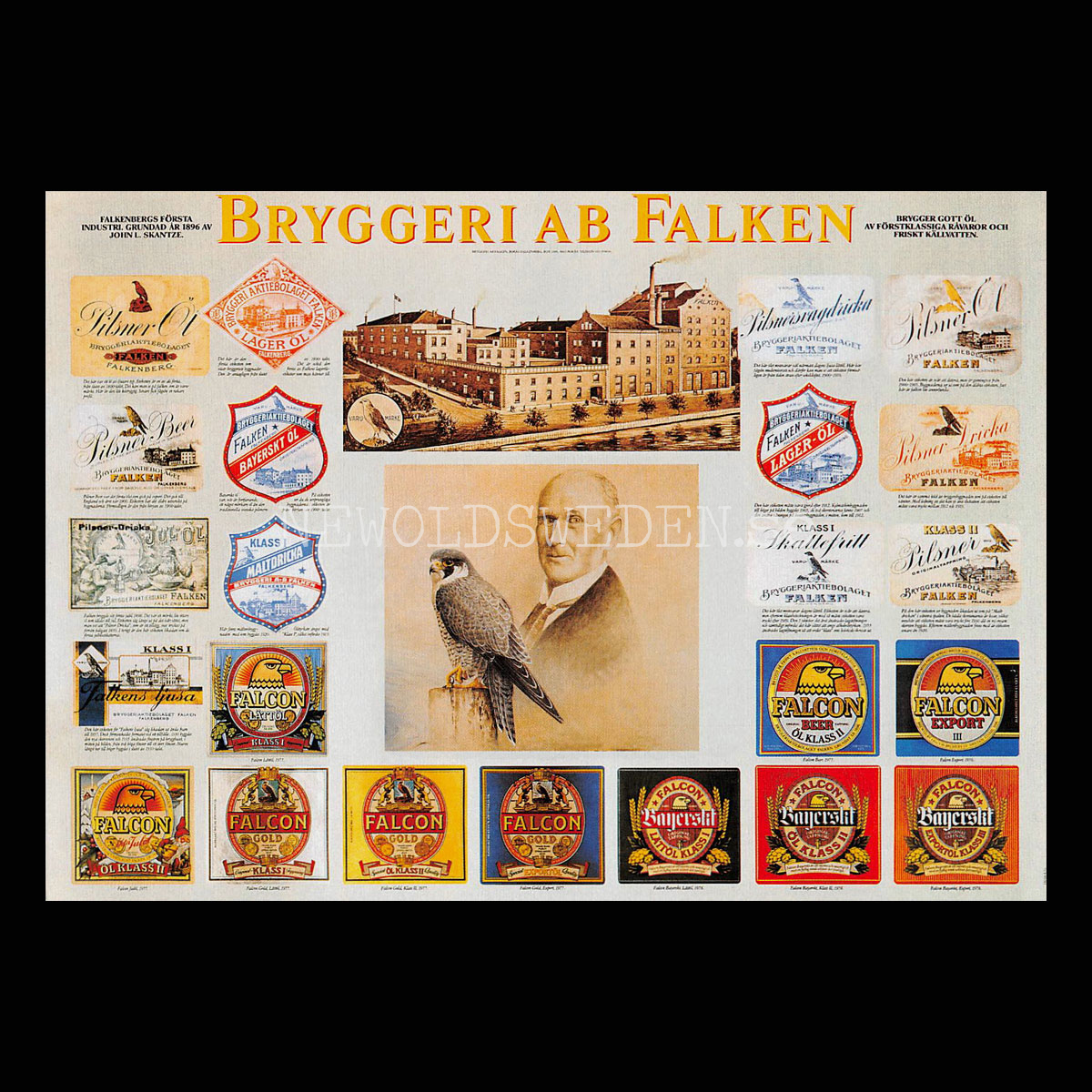 FALKEN BRYGGERI AB FALKEN 1896 FALKENBERG - Vykort A5