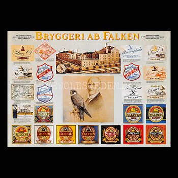 FALKEN BRYGGERI AB FALKEN 1896 FALKENBERG - Vykort A5