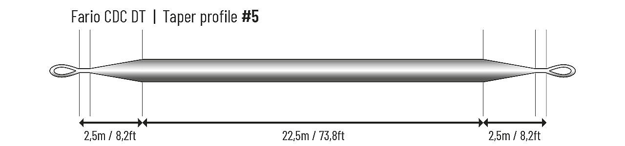 Guideline Fario CDC DT - 2