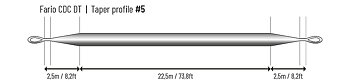 Guideline Fario CDC DT