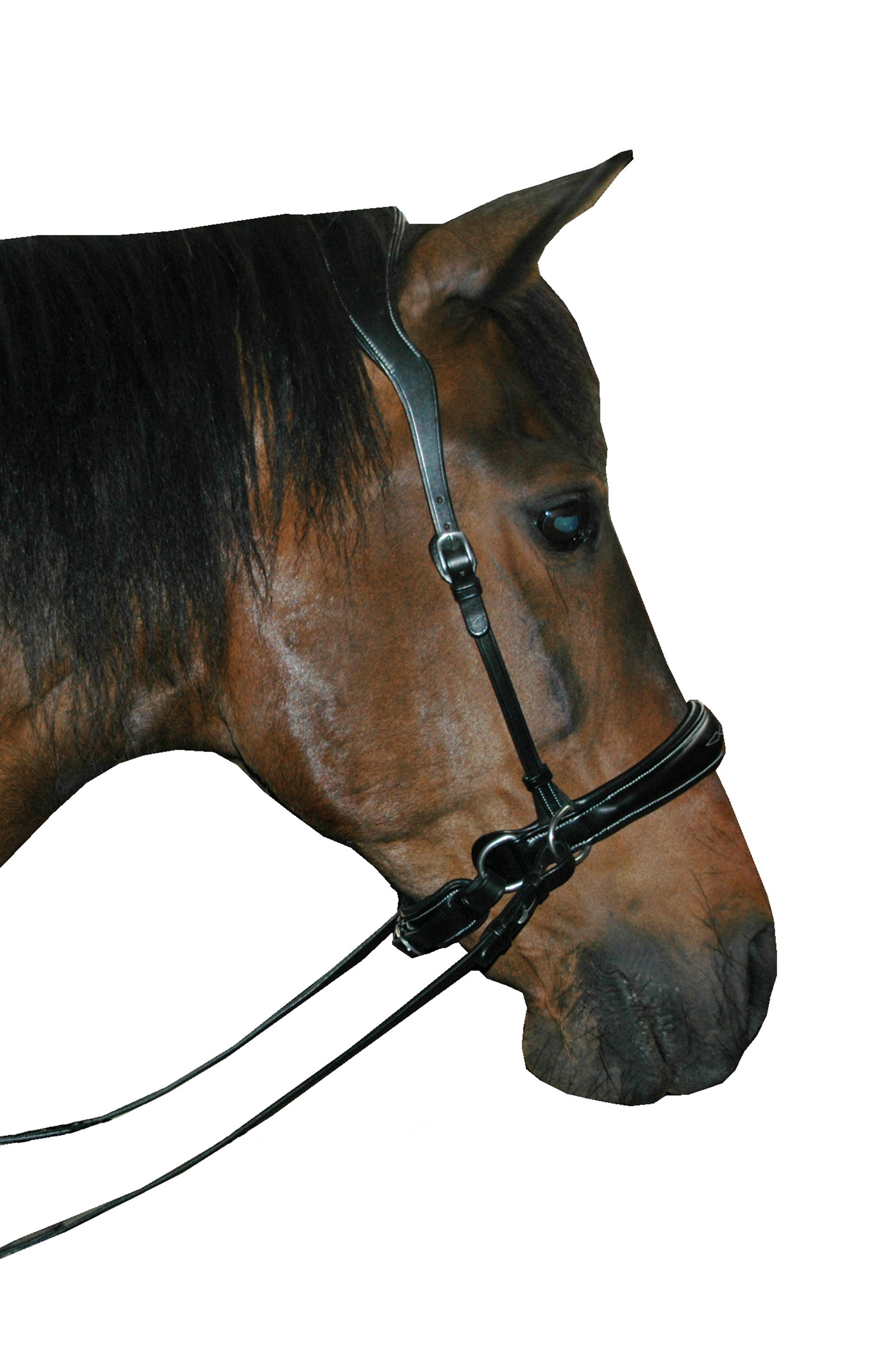 F.R.A® Alizée Mistral Sidepull incl. reins - 8