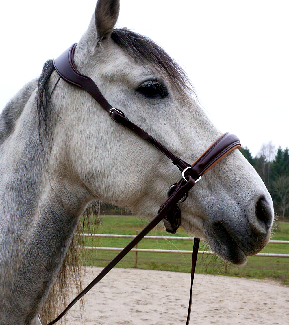 F.R.A® Alizée Mistral Sidepull incl. reins - 9