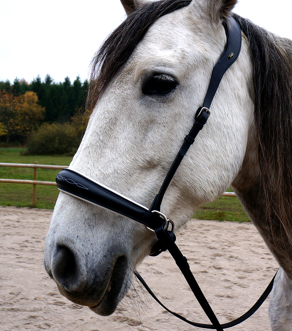F.R.A® Alizée Mistral Sidepull incl. reins - 10