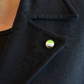 Pins mit aromantic  fahne