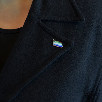 Gay man flagge Pins