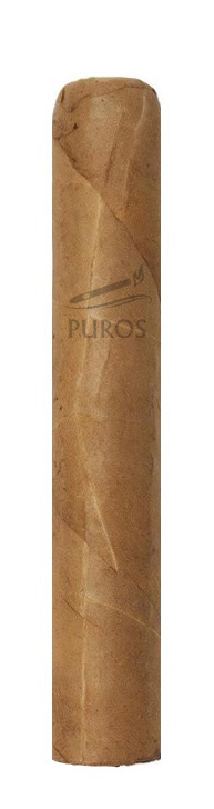 Paper Boy  Connecticut Petit Corona – El Artista 8-pack - 2