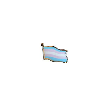 Trans flagge-Pins