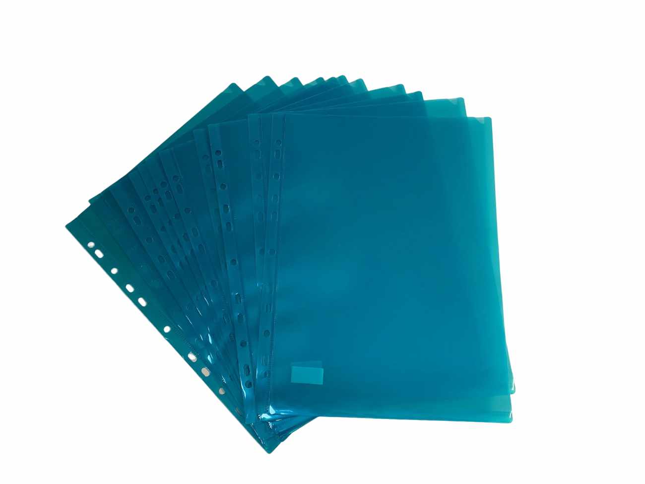 A4 Plastic Pocket - Hole 10-pack - 6