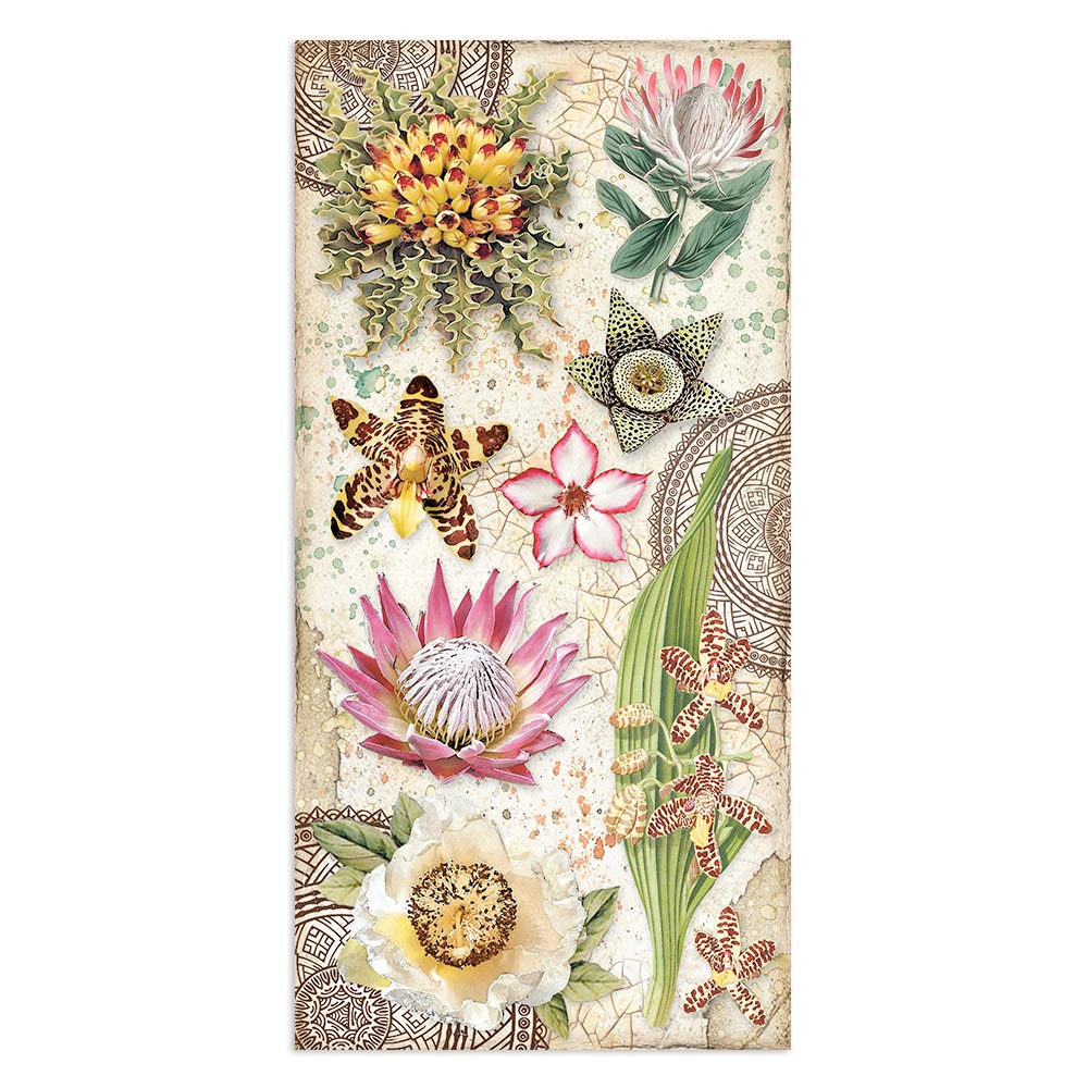 Stamperia - Collectables 10 ark 15x30,5 (6x12) double face - Savana - 12
