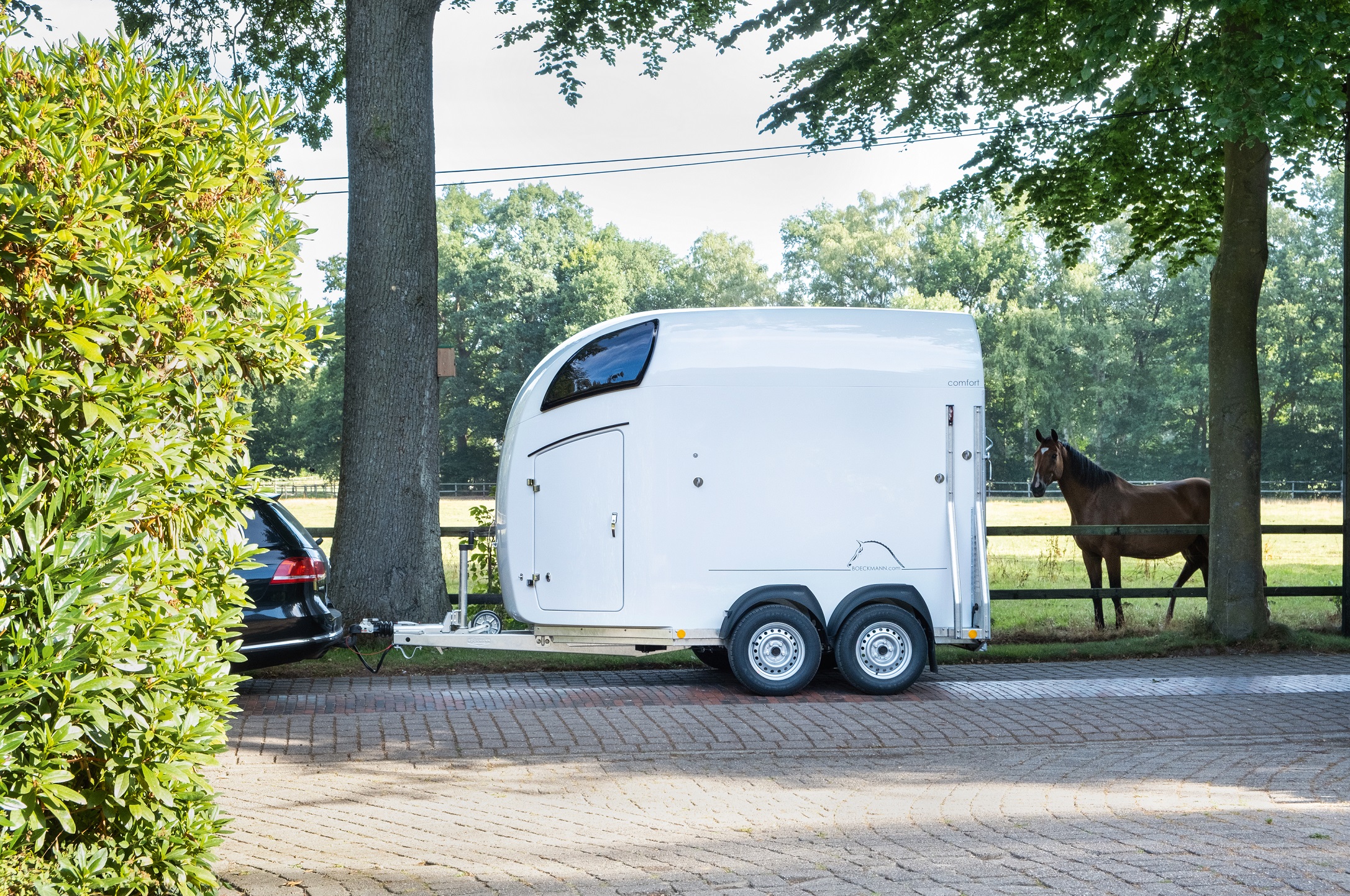 Hästtransport Böckmann Comfort C (FRI frakt) - 2