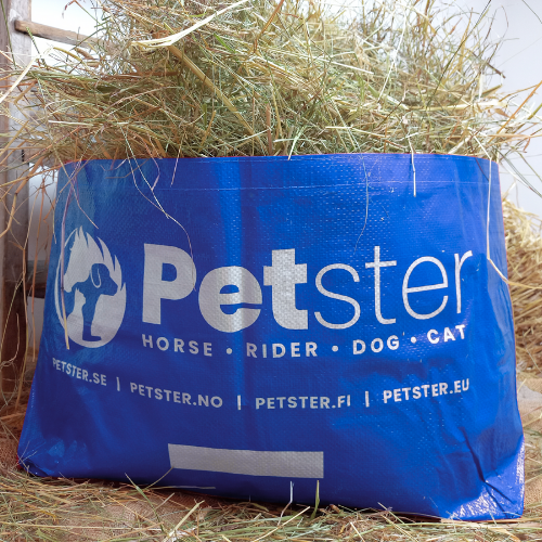 Petster Heinäpussi XL - Royal Blue