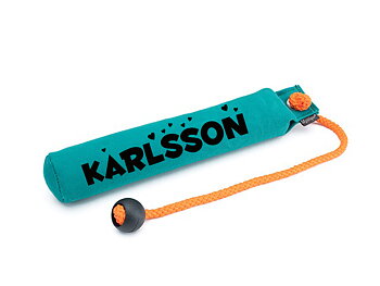 Dummy School, grön 300g med namn
