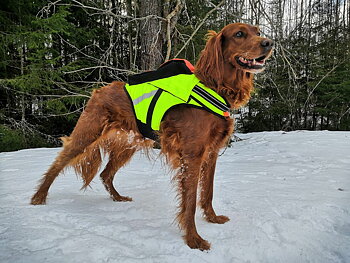 Kardog Jehu Flyt med stora fickan