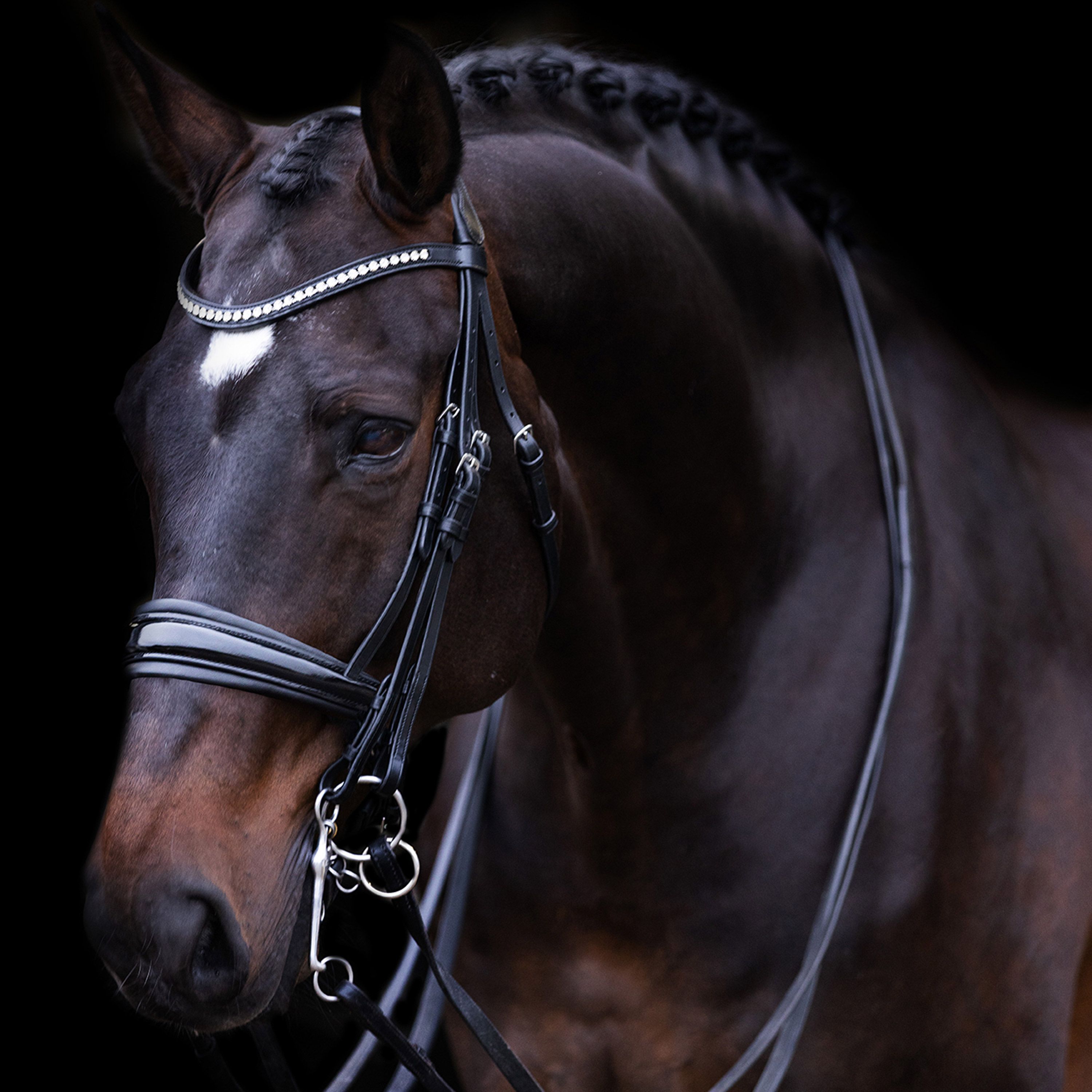 Imperial Riding Träns Weymouth Fria Black - 3