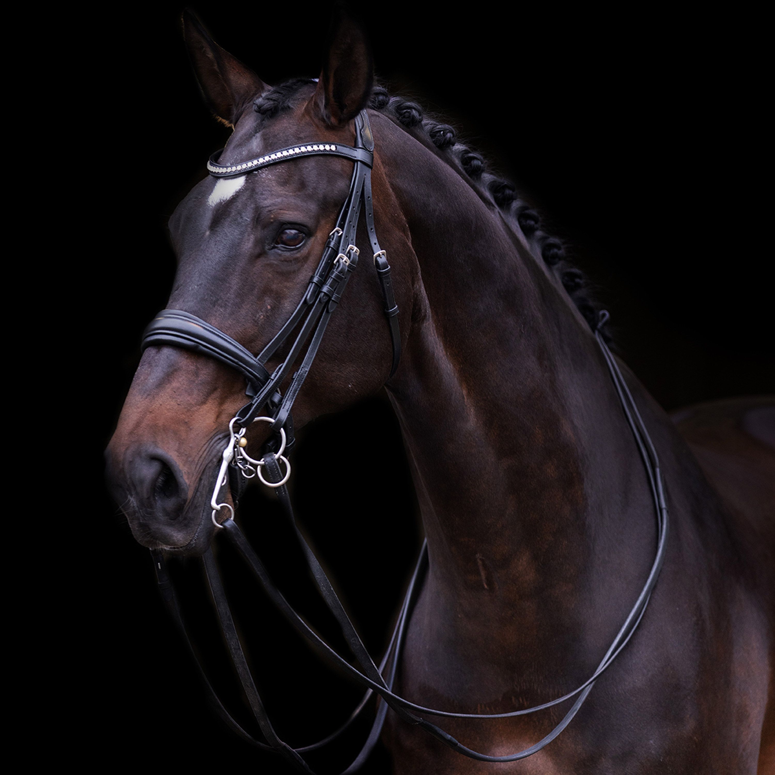 Imperial Riding Träns Weymouth Fria Black - 2