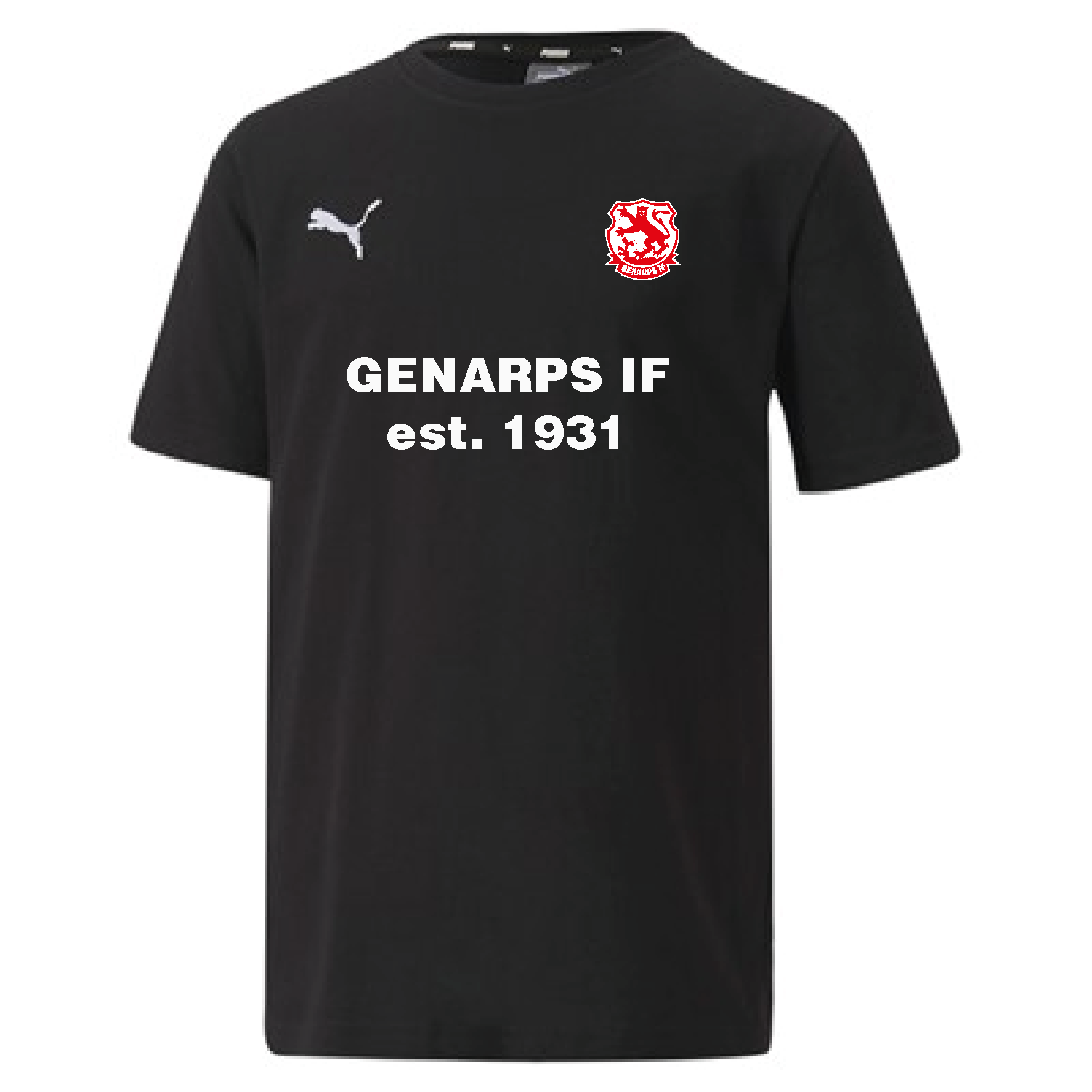Puma Teamgoal Casuals Tee EST (Genarps IF)