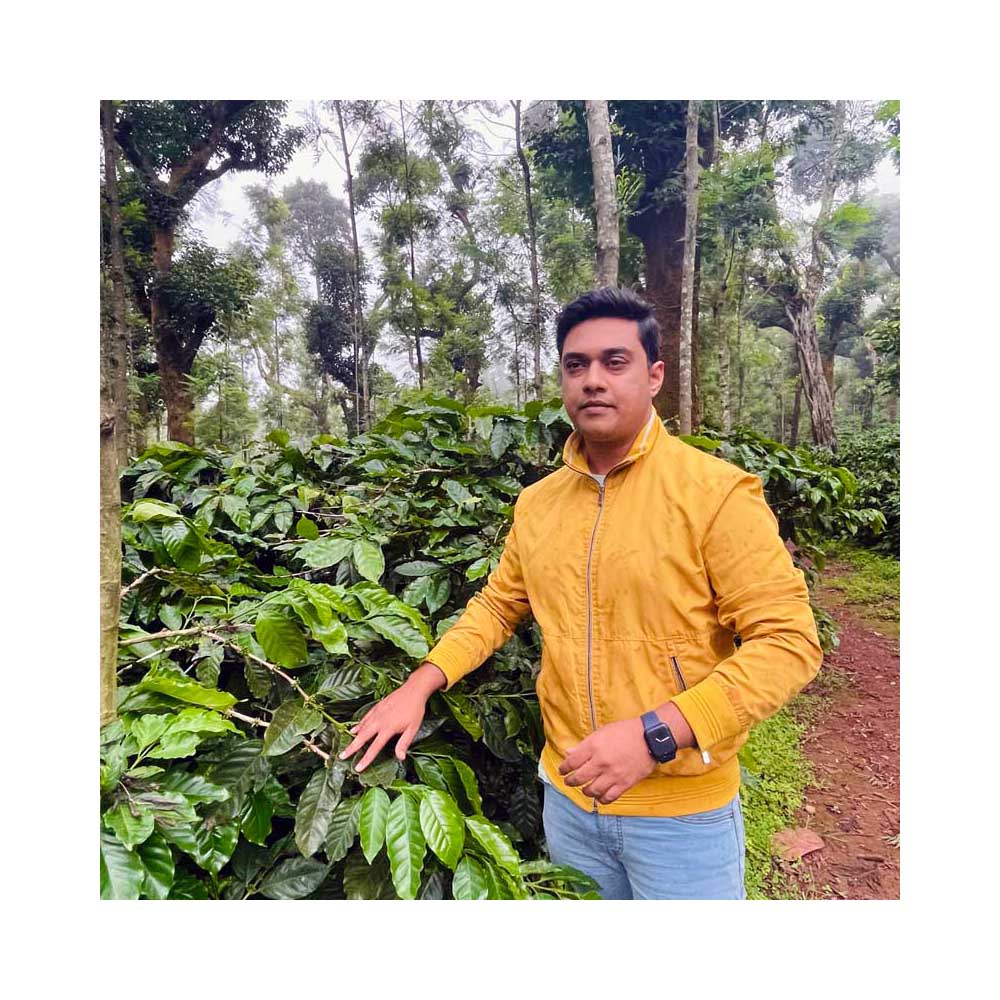 Råkaffe - Indien Hulikere Estate - Natural - Robusta - 6