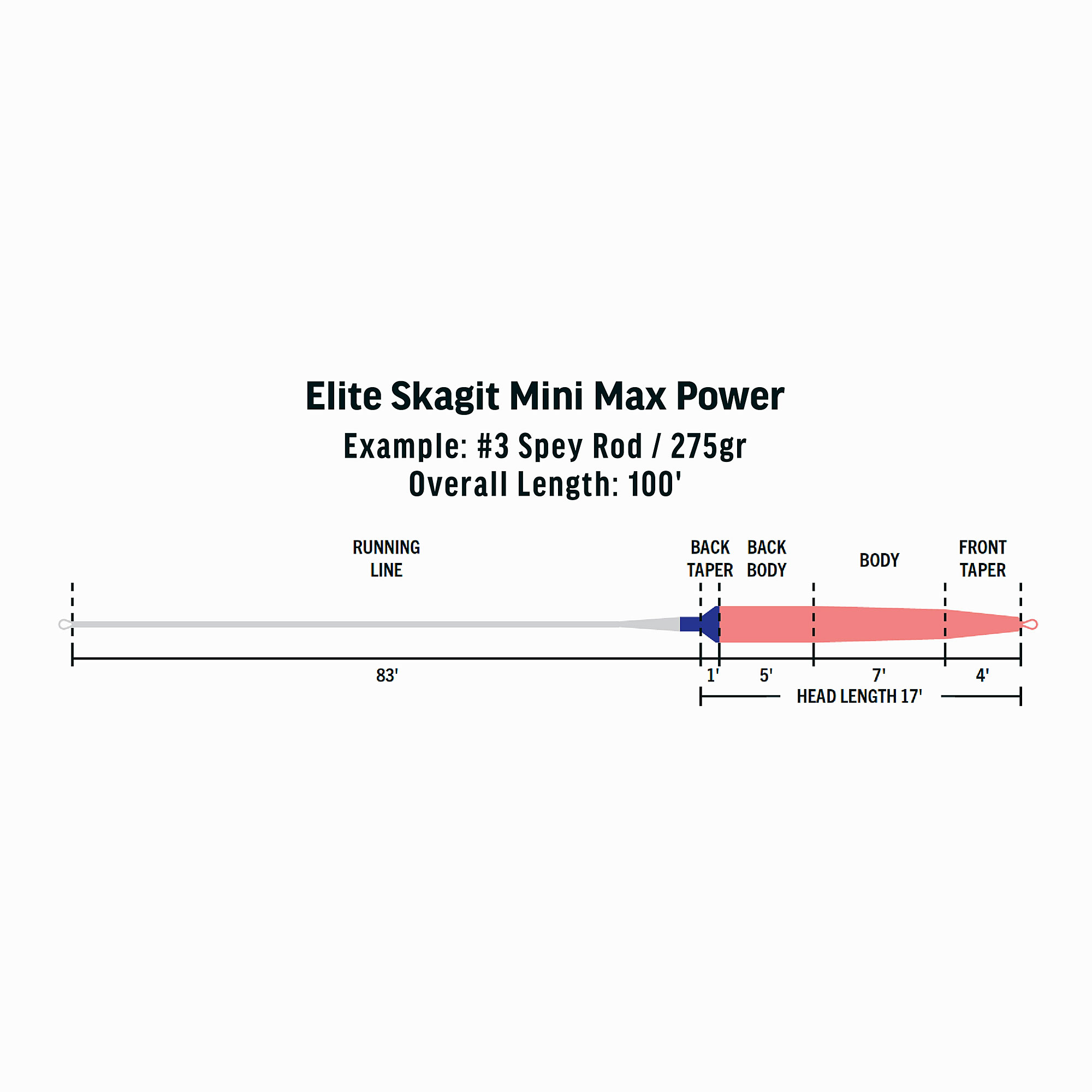 RIO Elite Integrated Skagit Mini Max Power - 3