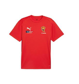 Puma TeamGoal Jersey Jr (BK Flagg)