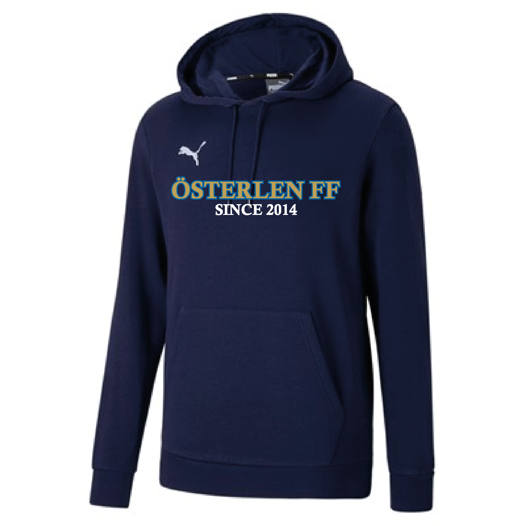 Puma Teamgoal Casuals Hoody Jr (Österlen)