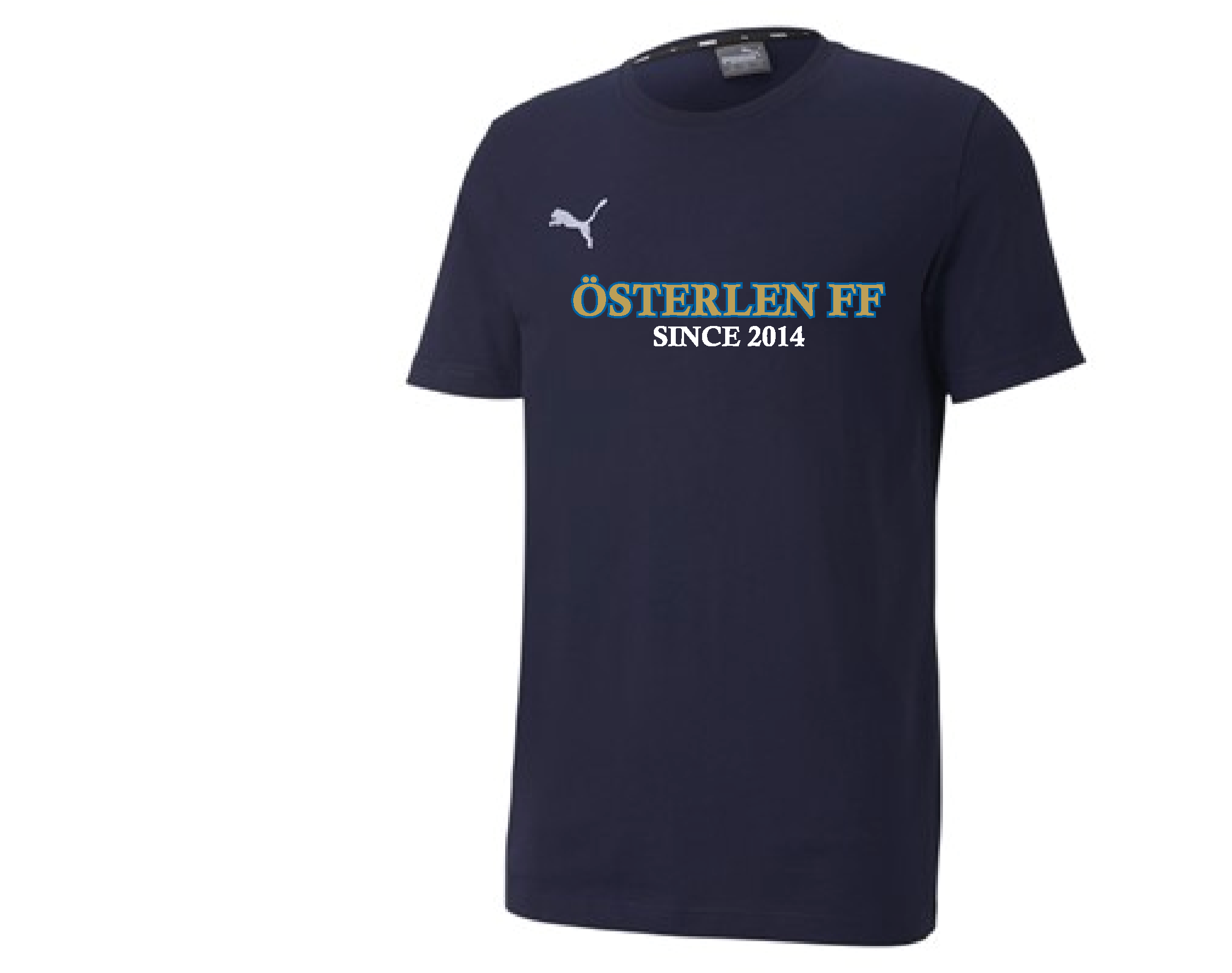 Puma Teamgoal Casuals Tee (Österlen)