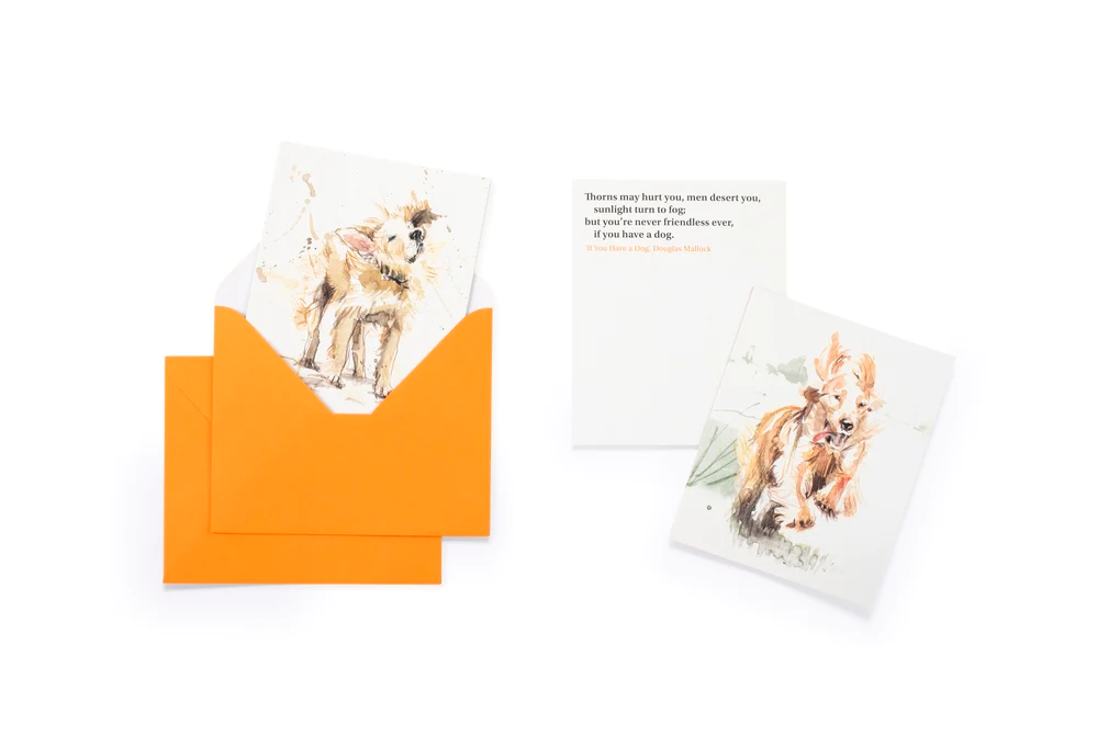 For the Love of Dogs: 20 Individual Notecards and Envelopes - 3