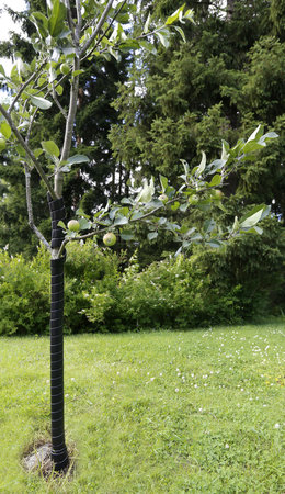 Skyddsspiral 50mm svart 1m 2st - 3