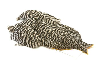 4B Whiting Hen Cape