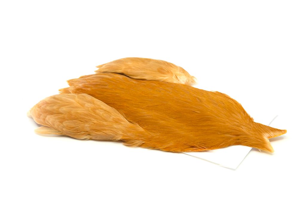 4B Whiting Hen Cape - 3