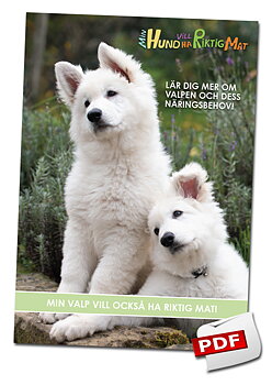 Min valp vill också ha riktig mat! (pdf-fil för nedladdning)