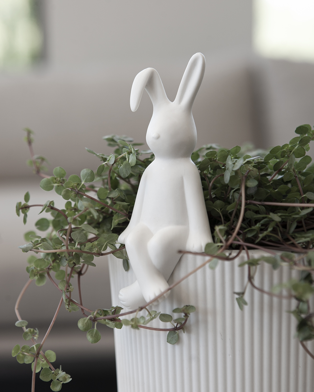 Pelle - Kanin - Hare - Dekoration - 3