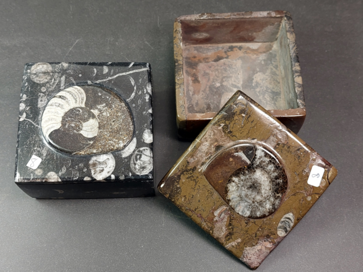 Fossil sten Skrin - Fyrkantig - 2
