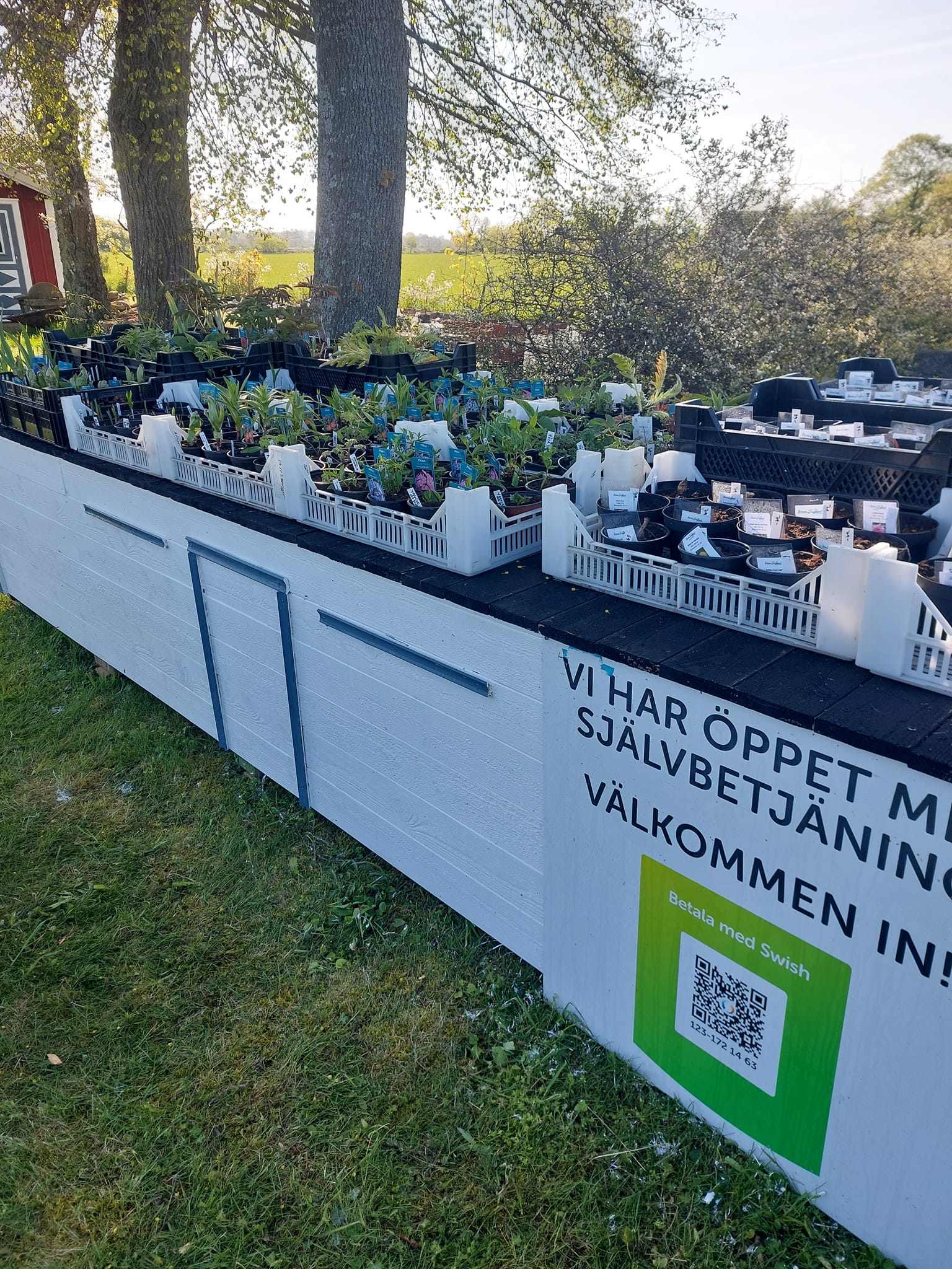 Ölandstorpet blomförsäljning!