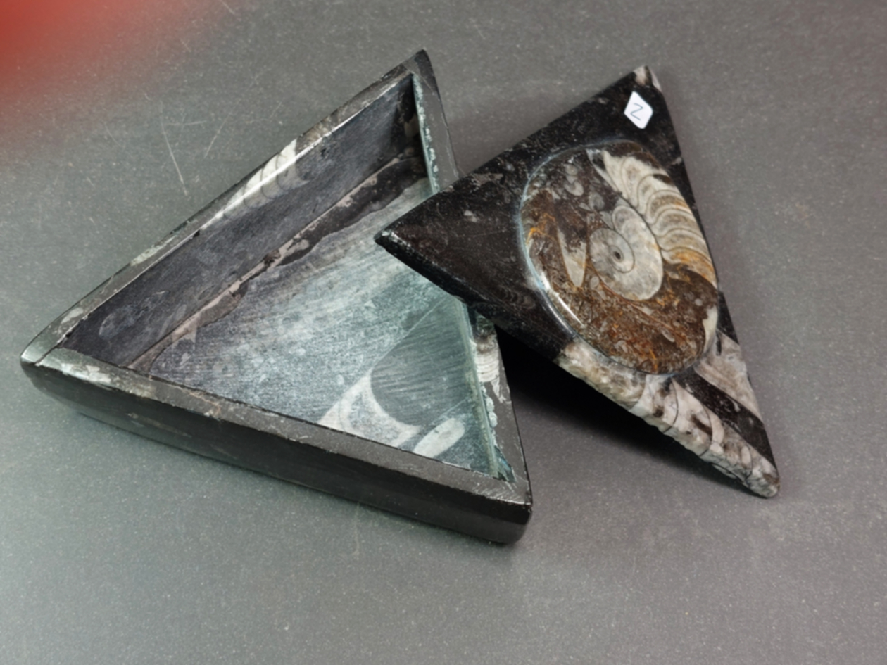Fossil sten skrin - Triangel Form - 2