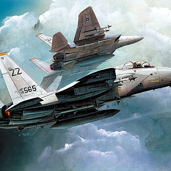 1/144 F-15C