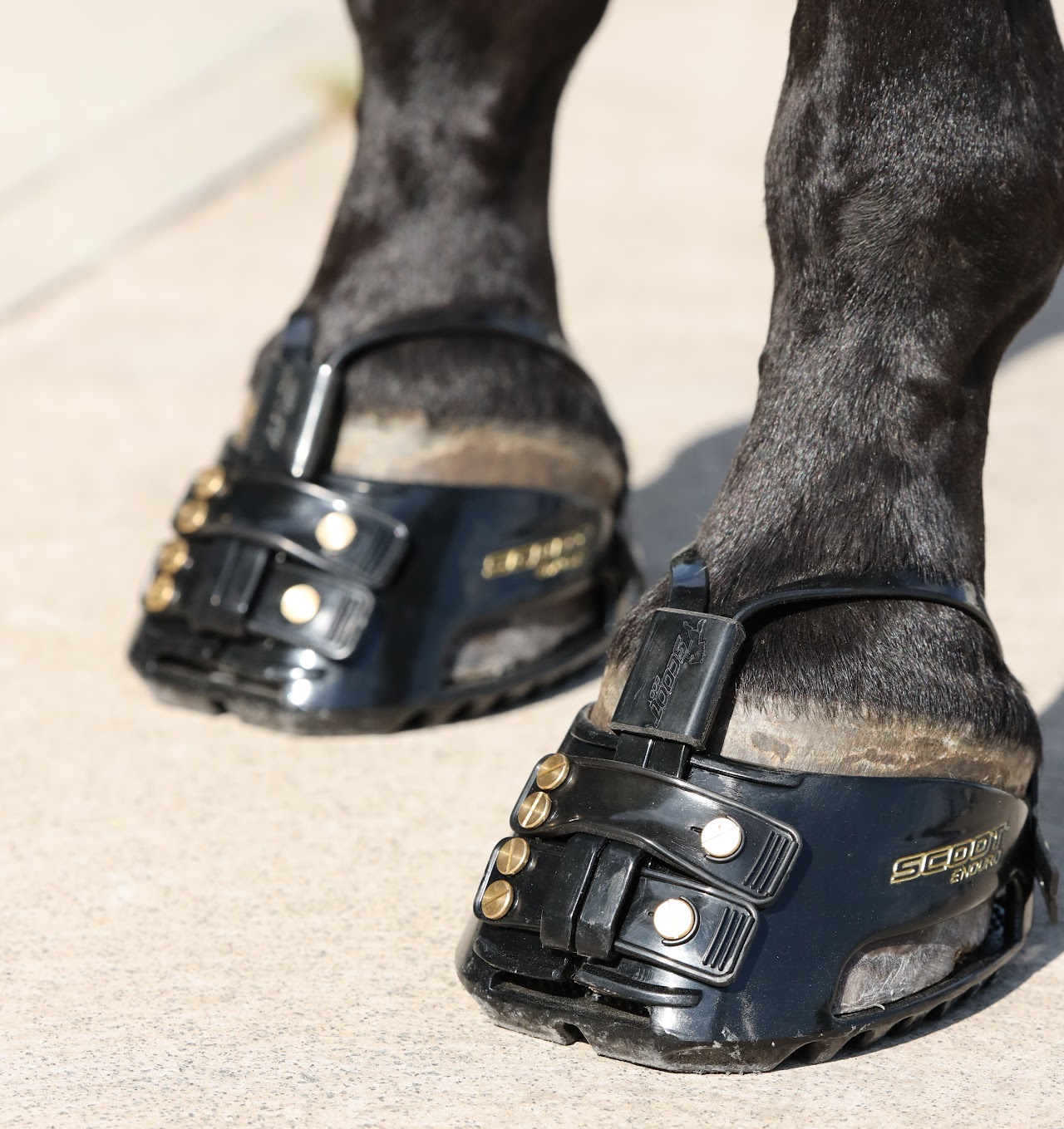 Scoot Boot - Scoot Adjust
