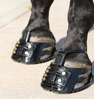 Scoot Boot - Scoot Adjust