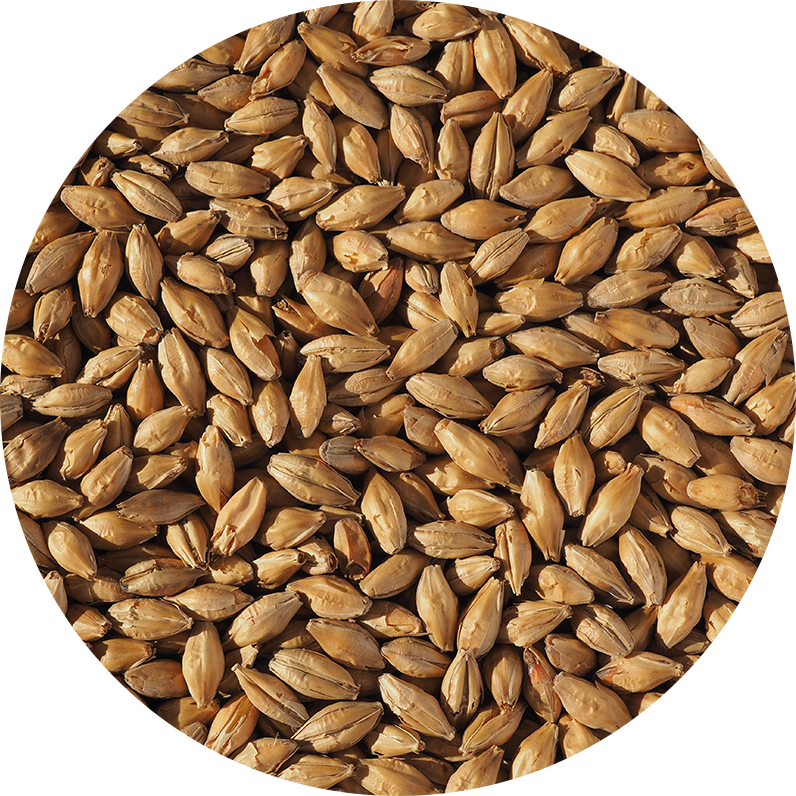 Vienna Malt (Crisp), whole, 25 kg