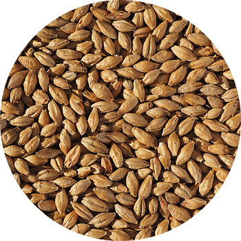 Vienna Malt (Crisp), whole, 25 kg