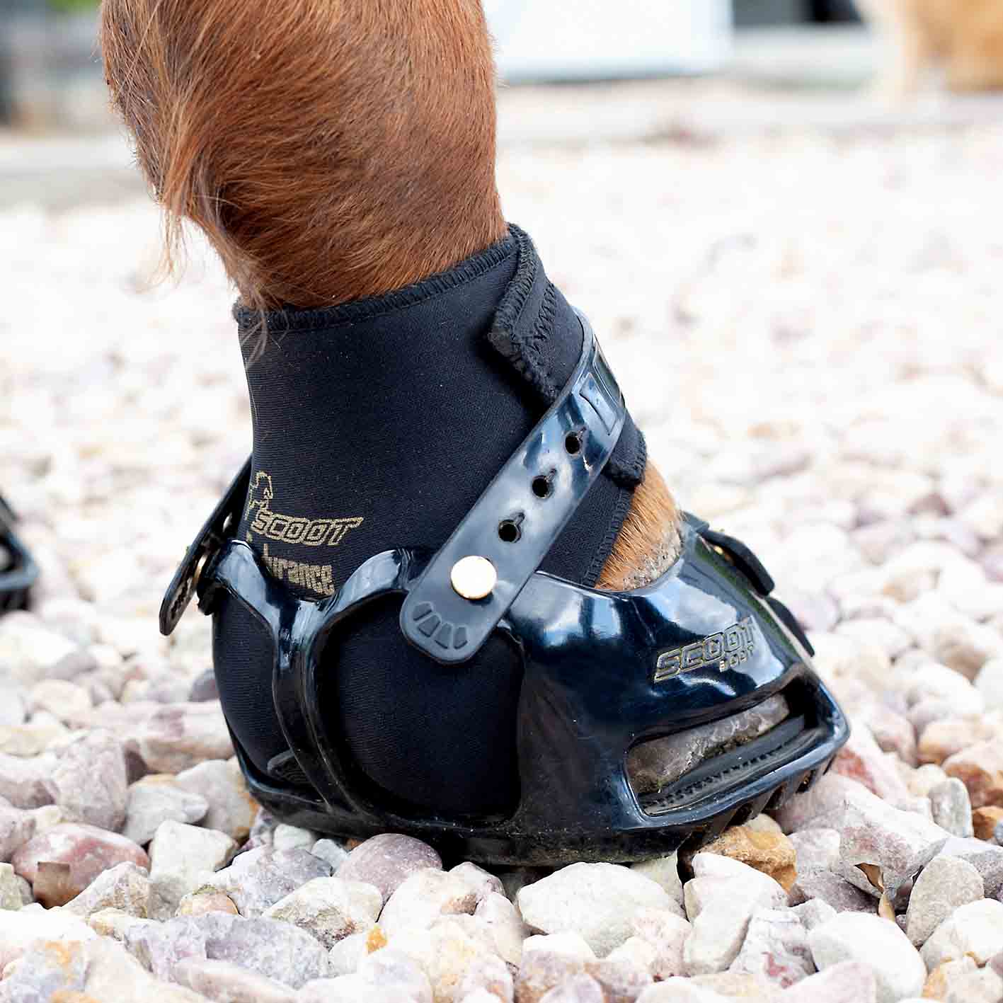 Scoot Boot - Scoot Endurance Gaiters