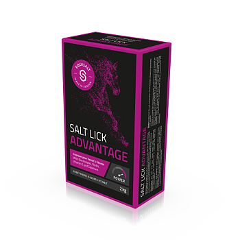 Equisalt Salt Lick Advantage - 2 kg