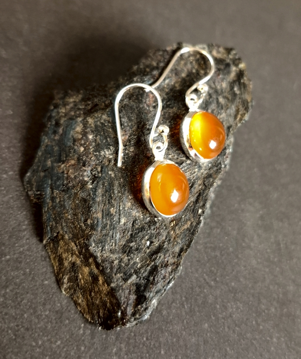 Karneol Örhängen i  Silver - 2