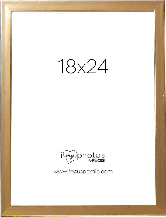 18X24 Pop Guld