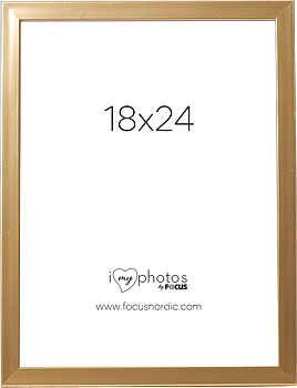 18X24 Pop Guld