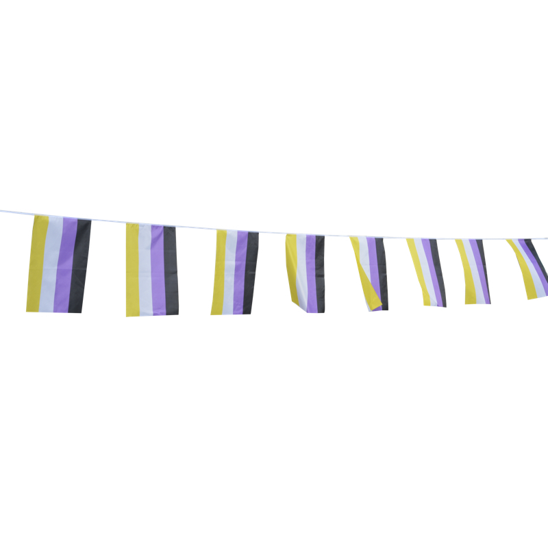 Non Binary flag bunting between size (7m) - 2