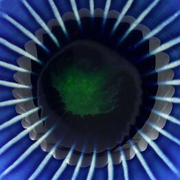 Carl-Harry Stålhane (Anemone 1960s) Blue Five-Sided Bowl with Linear Relief 8 cm (1)