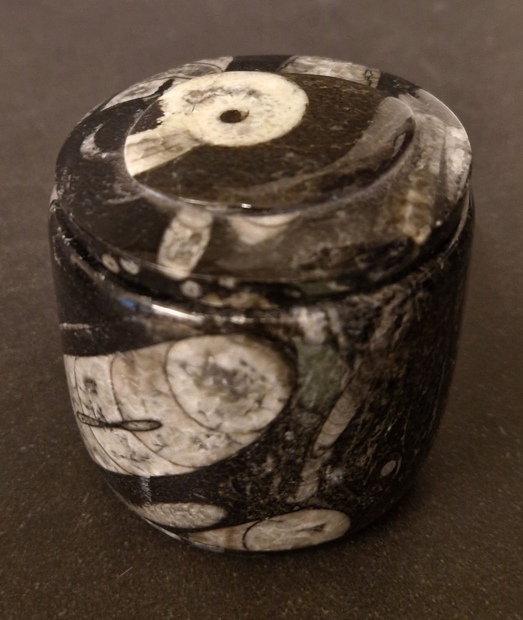 Svart Rund Fossil sten ask